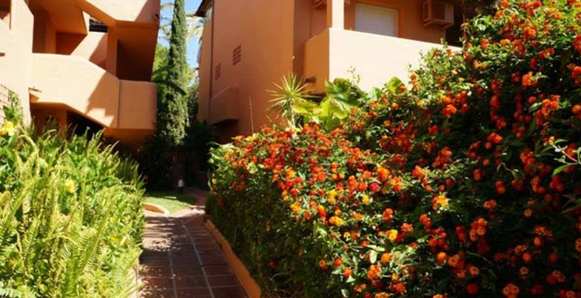 Jardines del Marbella Club Golden Mile