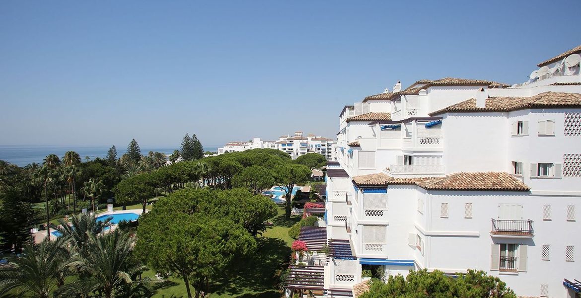 Apartamento en Alquiler Playas Del Duque