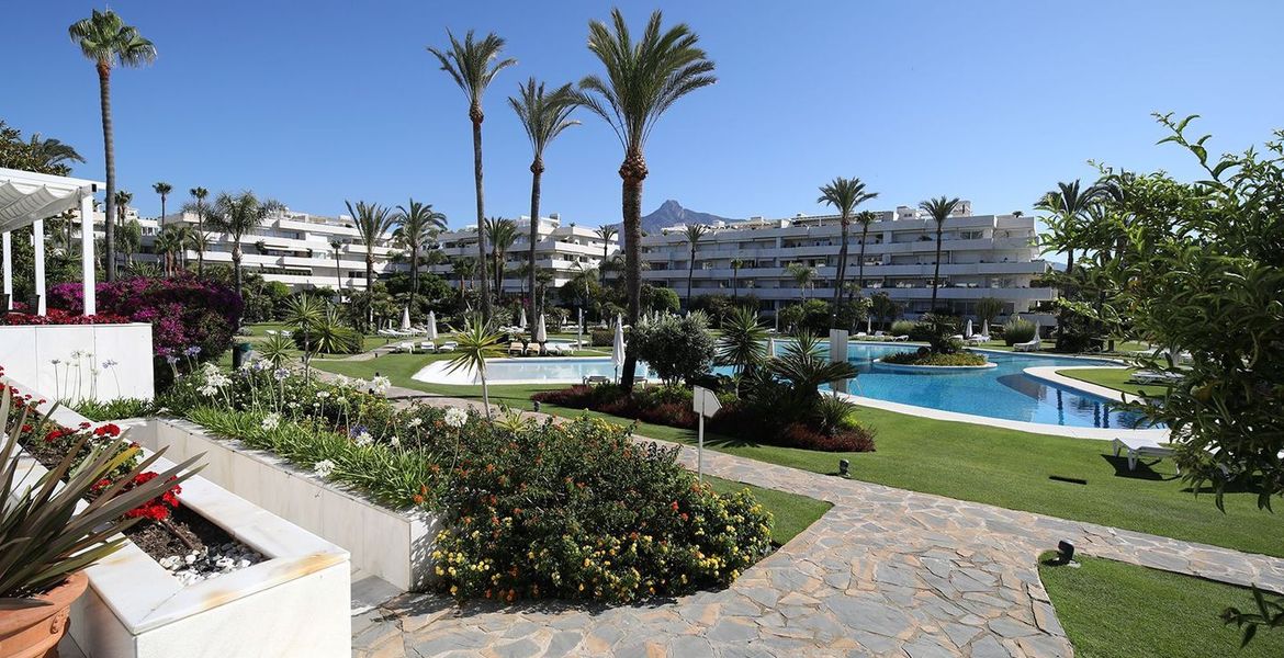 Apartamento en Alquiler en Los Granados Puerto Banus