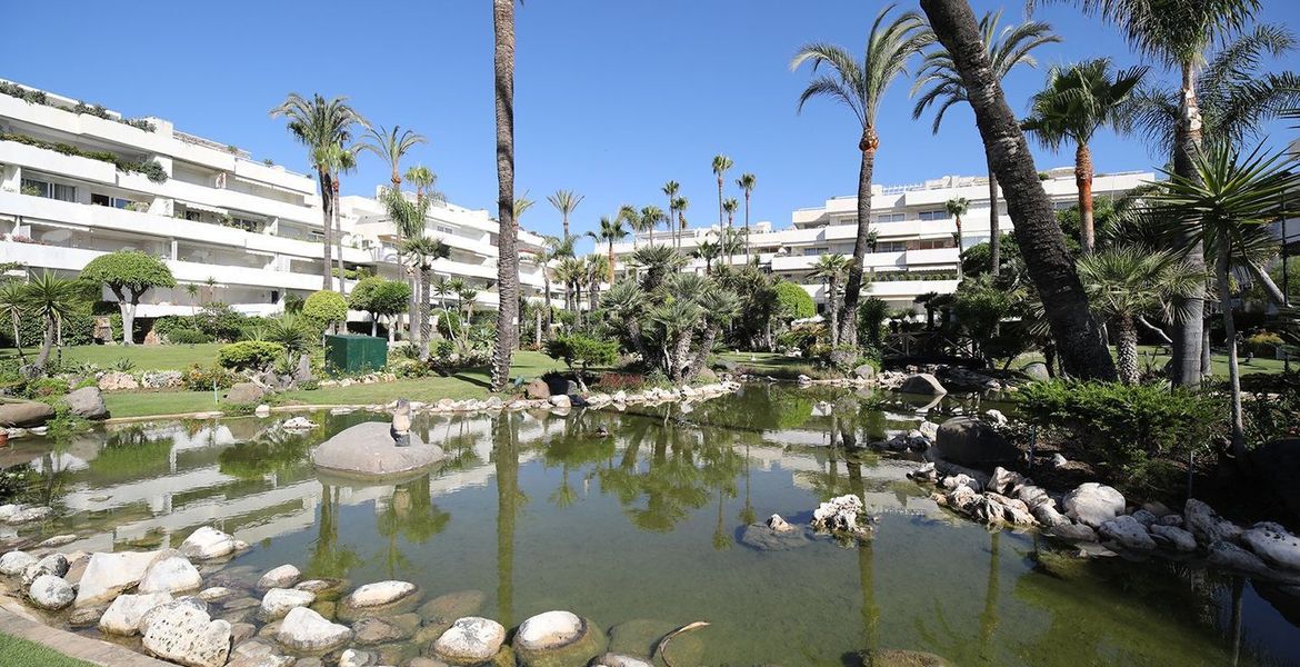 Apartamento en Alquiler en Los Granados Puerto Banus