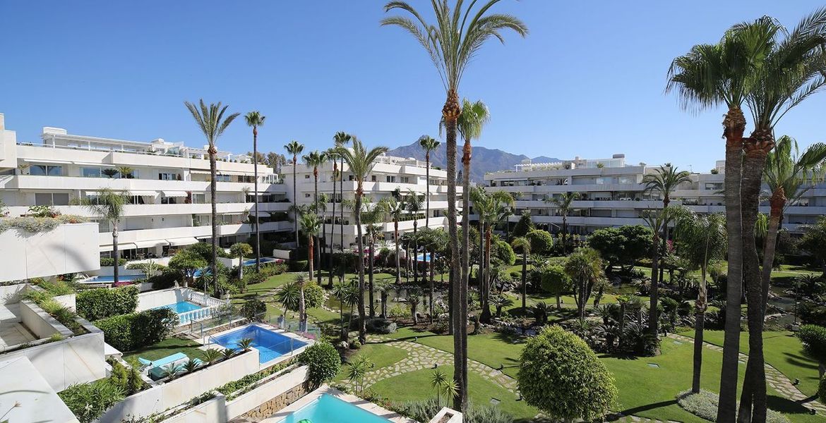 Apartamento en Alquiler en Los Granados Puerto Banus