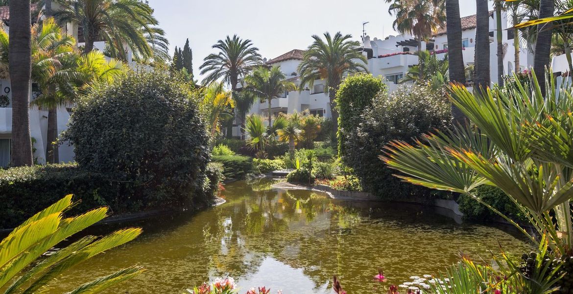 Beach Front Marbella Penthouse