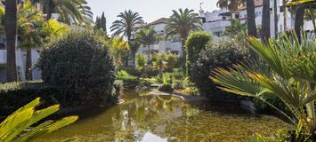 Beach Front Marbella Penthouse