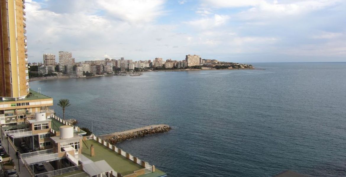 Apartment at the foot of the beach Alicante