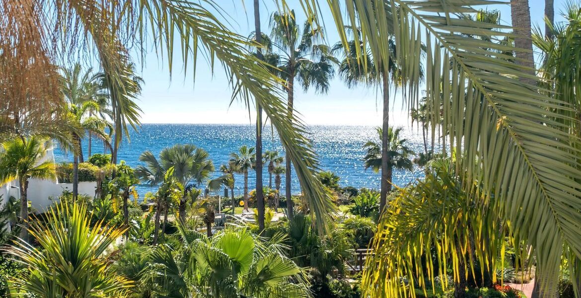 Luxury oceanfront duplex penthouse for sale
