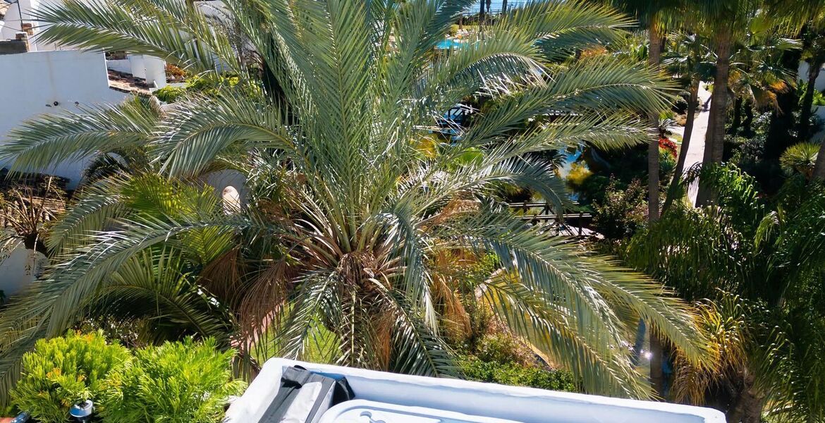 Luxury oceanfront duplex penthouse for sale