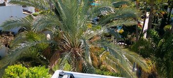 Luxury oceanfront duplex penthouse for sale