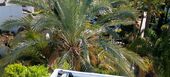 Luxury oceanfront duplex penthouse for sale