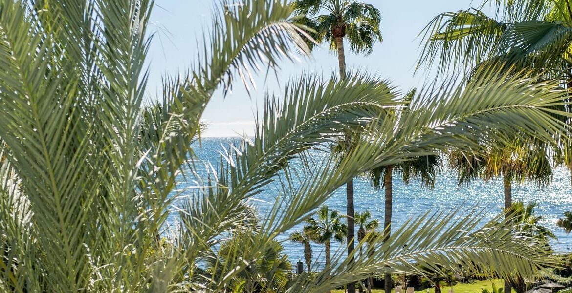 Luxury oceanfront duplex penthouse for sale