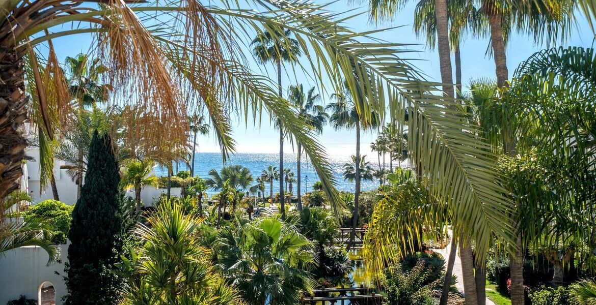 Luxury oceanfront duplex penthouse for sale